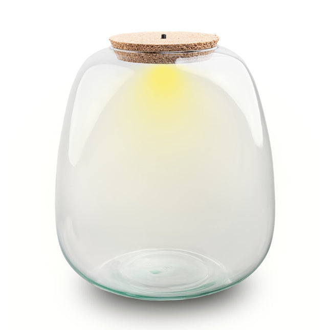 Terrarium bottle with cork - Model: Emma + led cork  - ↑ 25 cm -  Ø 23 cm