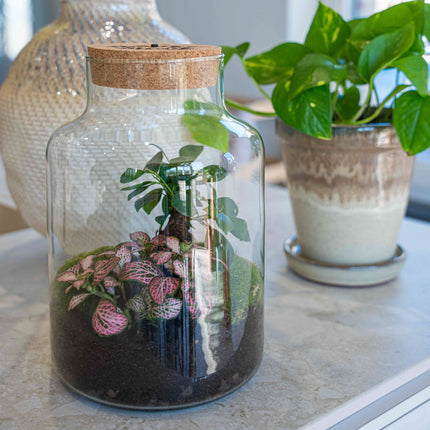 Love mom terrarium