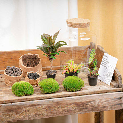 Milky Palm - Terrarium - Bottle garden DIY kit - Ø 21 cm ↑ 30 cm
