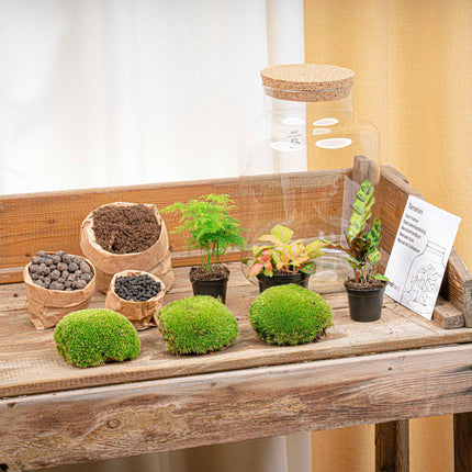 Terrarium DIY Kit - Milky - Bottle Garden - ↑ 30 cm