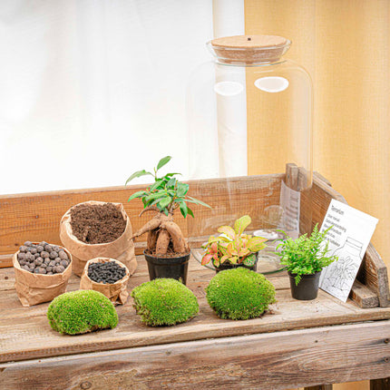 Sven XL Bonsai - Terrarium with light - Bottle garden DIY kit - Ø 23 cm ↑ 43 cm
