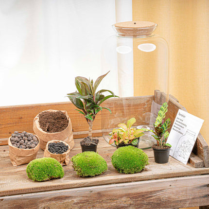 Sven XL Palm - Terrarium with light - Bottle garden DIY kit - Ø 23 cm ↑ 43 cm
