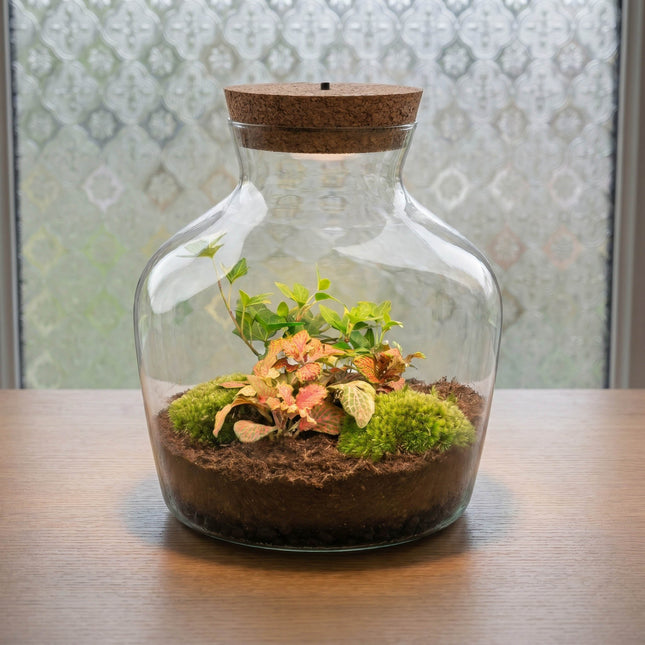 Little Joe Hedera Fittonia Ruby Lime - Terrarium with light - Bottle garden DIY kit - Ø 20 cm ↑ 22 cm