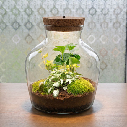 Glass jar with plants and a cork lid on a wooden surface.