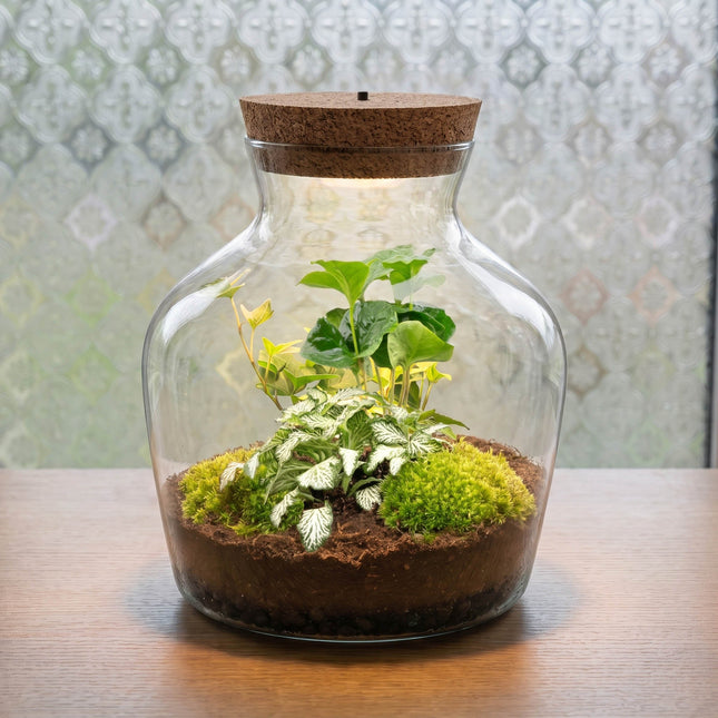 Glass jar with plants and a cork lid on a wooden surface.