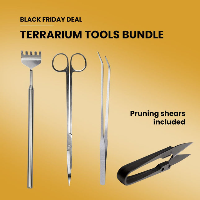 Terrarium Tools Bundle – Black Friday Deal