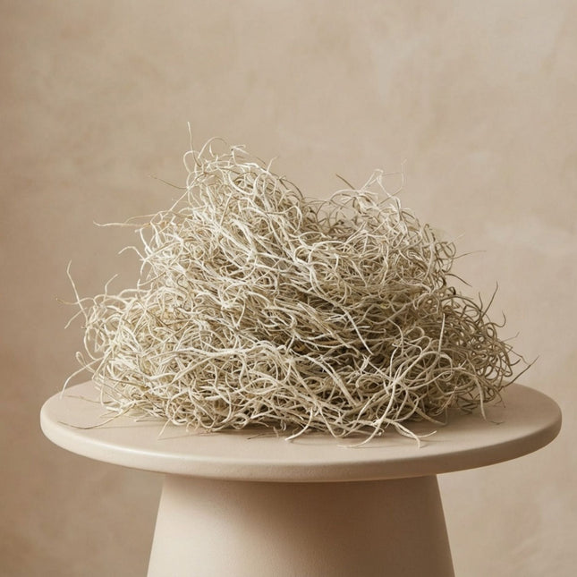 Dried Tillandsia Moss – 1L – Decorative - 100% Natural