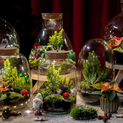 Tinsel Winter terrarium - Bottle garden DIY kit - Ø 19 cm ↑ 20 cm