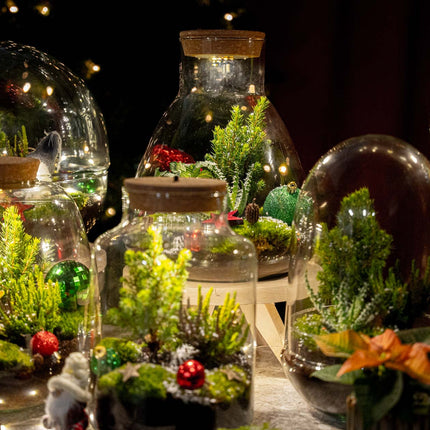 Berry Christmas terrarium - Bottle garden DIY kit - Ø 19 cm ↑ 20 cm