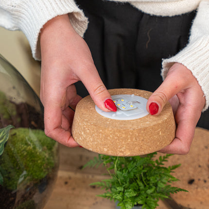 Cork with led - Terrarium cork with light -  3 sizes available