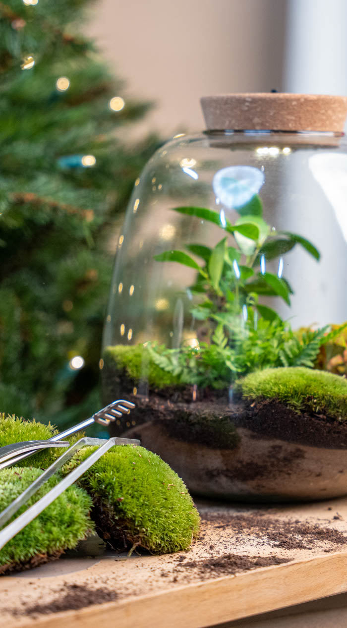 <h2>Kerstgeschenken</h2>