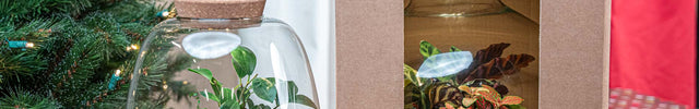 Relatiegeschenk terrarium pakket Kerstpakket