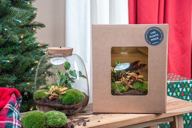 Relatiegeschenk terrarium pakket Kerstpakket