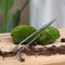 Terrarium gereedschap 